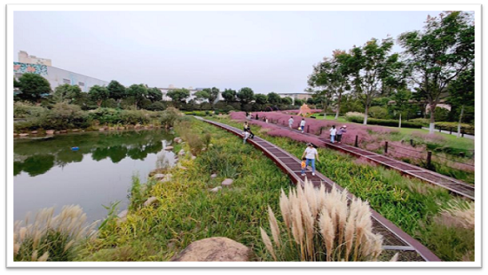 From Flooded Streets to Green Resilience: Mumbai’s Bold Plan for 164 Sponge Parks