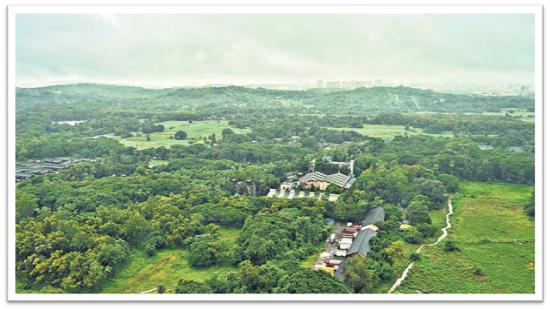 Aarey Forest to Host Mumbai’s First Open-Air Music Festival in 2025, Blending Nature, Culture and Community