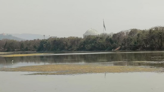 Flamingos Avoid Navi Mumbai Wetlands, Signalling Rising Ecological Distress