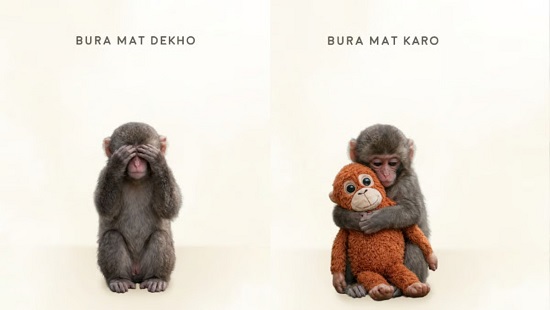 Mumbai Police Uses Viral Baby Monkey Story To Promote 112 Helpline, Wins Hearts Online